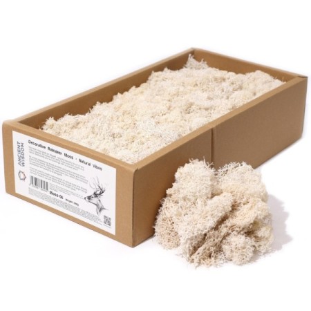 Decoration Reindeer Moss - Natural Vibes - (approx 500gm) Decoration Reindeer Moss - Natural Vibes - (approx 500gm)