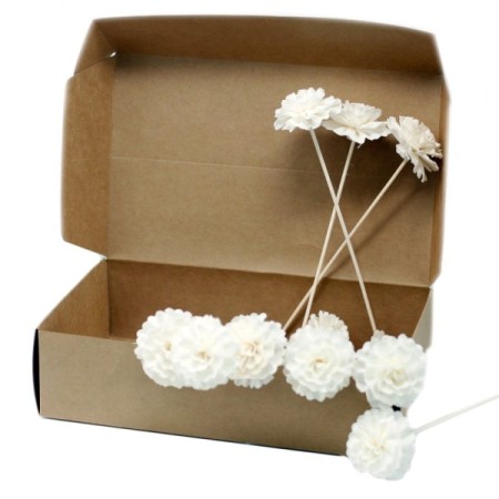 Natural Diffuser Flowers - Carnation on Reed Natural Diffuser Flowers - Carnation on Reed