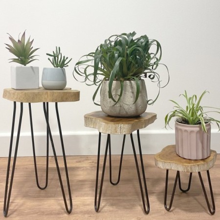 Set of 3 Gamal Wood Plant Stands - Whitewash Set of 3 Gamal Wood Plant Stands - Whitewash