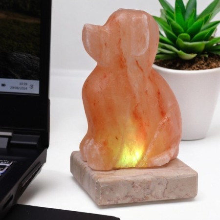 USB Dog Shaped (Multi) USB Dog Shaped (Multi)