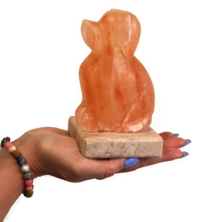 USB Dog Shaped (Multi) USB Dog Shaped (Multi)