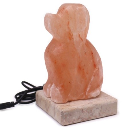 USB Dog Shaped (Multi) USB Dog Shaped (Multi)