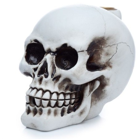 Skull Backflow Incense Burner Skull Backflow Incense Burner