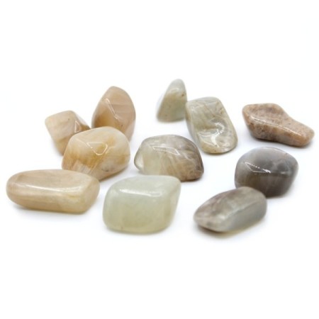 24x L Tumble Stones - Moonstone 24x L Tumble Stones - Moonstone