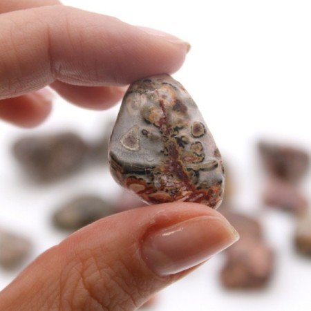 24x M Tumble Stone - Leopard Skin