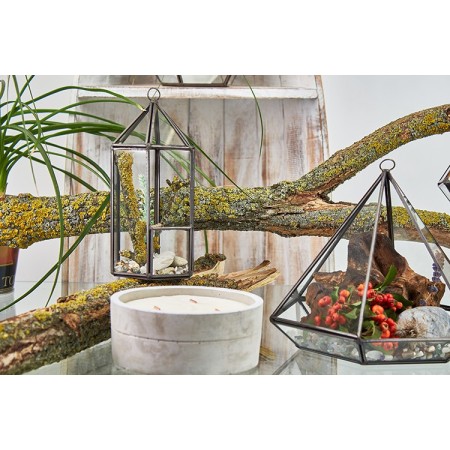 Glass Terrarium - Lantern Shape Glass Terrarium - Lantern Shape