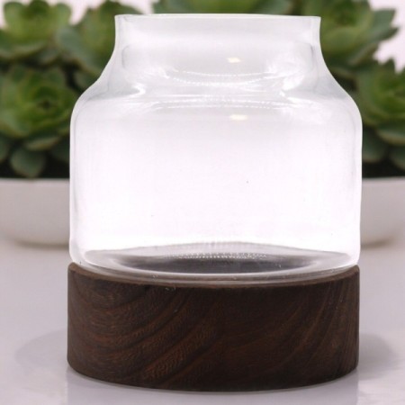 Medium Shaped Terrarium on Dark Tung Wood Medium Shaped Terrarium on Dark Tung Wood