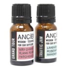 Aromatherapy Blends for Car Diffusers