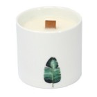 Botanical Candles
