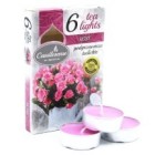 Scented Tealights