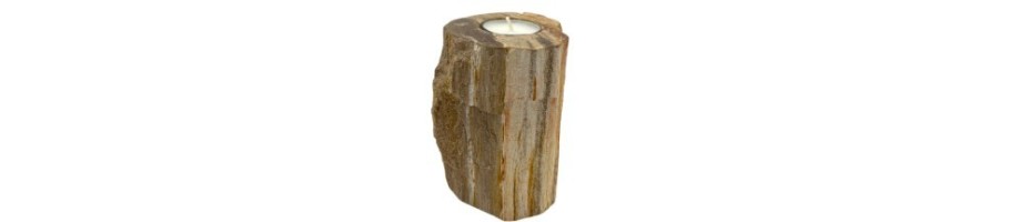 Petrified Wood Candle Holder