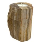 Petrified Wood Candle Holder