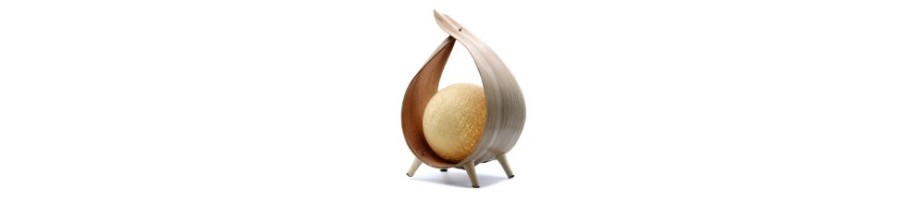 Natural Coconut Lamp