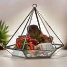 Gifts for Home & Garden