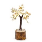 Gomati Chakra Stone Trees