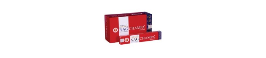 Golden Nagchampa